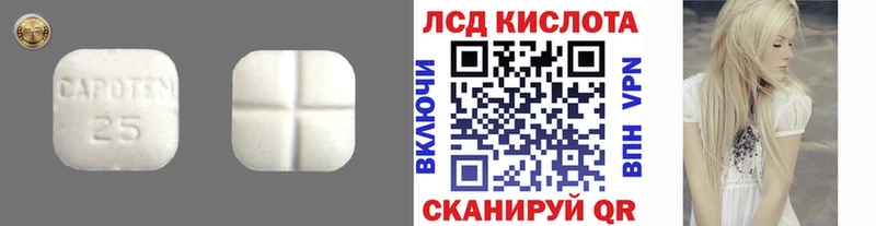 мега ссылки  купить наркотики цена  Алексин  LSD-25 экстази кислота 