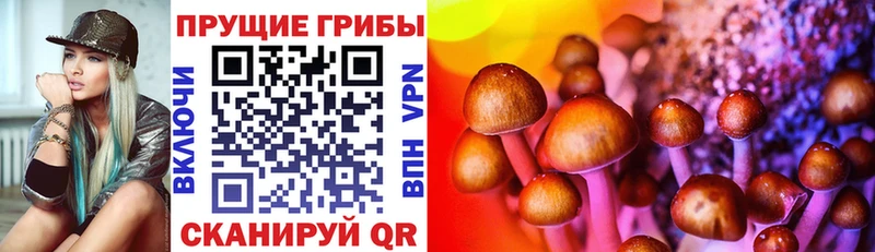 купить закладку  Алексин  Псилоцибиновые грибы Magic Shrooms 